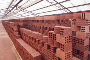 Gạch 6 lỗ